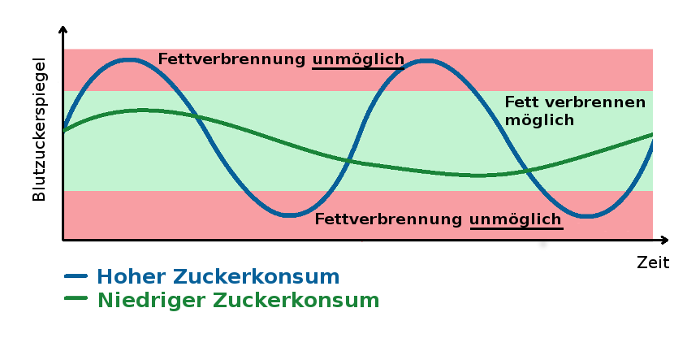 Zucker blockiert deine Fettverbrennung