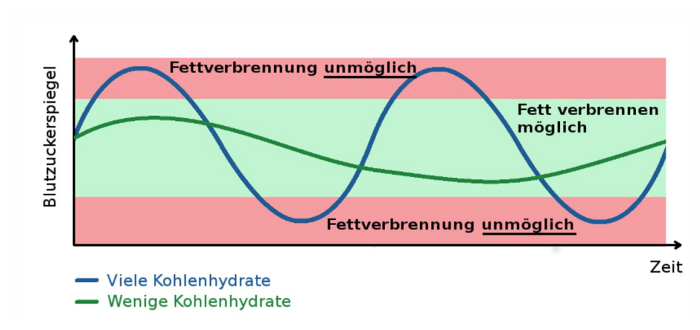 Hoher Blutzuckerspiegel verhindert das verlieren von Bauchfett