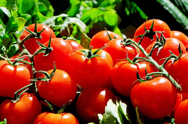 Tomaten