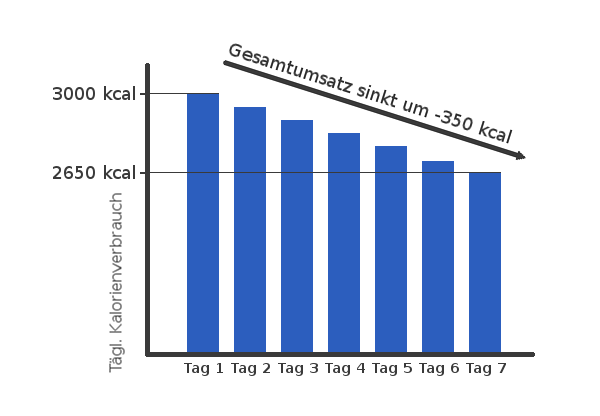 Sinkender Kalorienverbrauch bei einer Diät ohne Ladetag