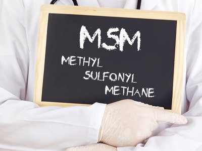 MSM Pulver in der Stoffwechseldiät